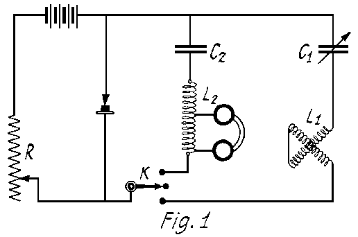 Fig. 1